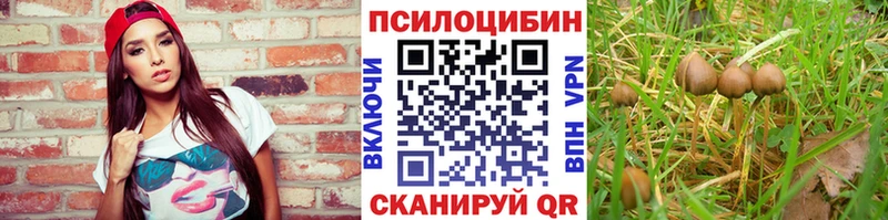 Псилоцибиновые грибы прущие грибы Оханск
